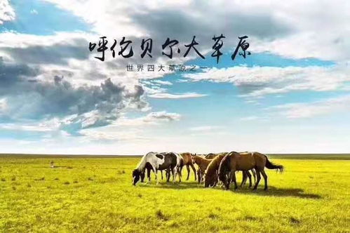 呼倫貝爾自由行自駕游全攻略 景點(diǎn)詳解與戶外運(yùn)動(dòng)策劃