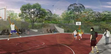 室外運動場地設計要點與戶外運動策劃指南